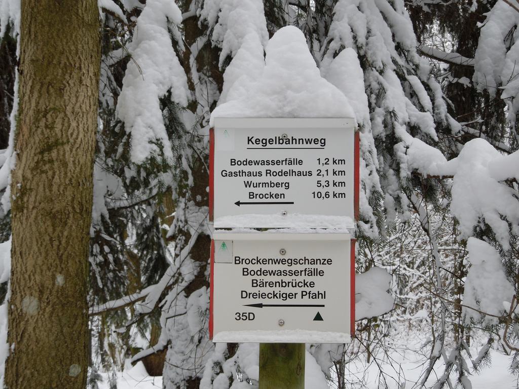 Blockhaus Bodefall Braunlage Oda fotoğraf