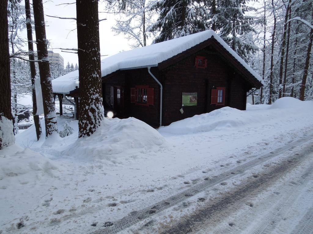 Blockhaus Bodefall Braunlage Oda fotoğraf