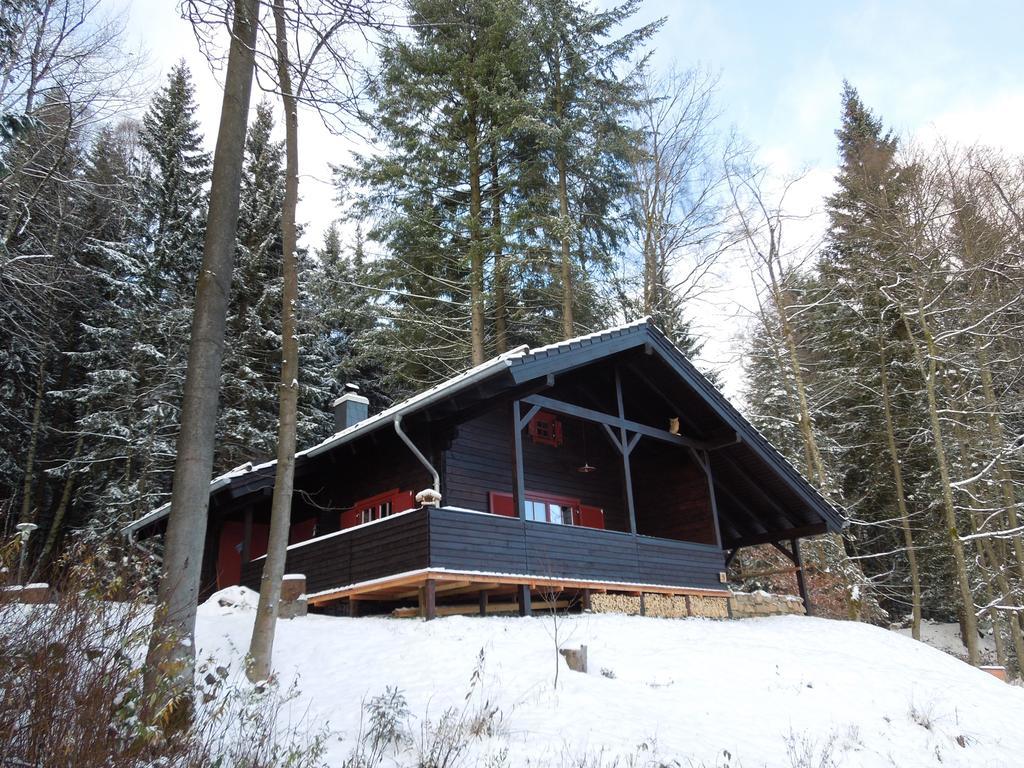 Blockhaus Bodefall Braunlage Oda fotoğraf