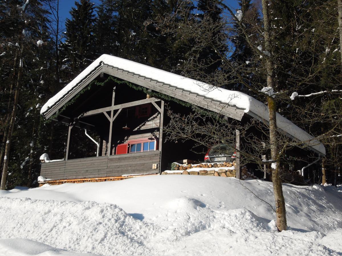 Blockhaus Bodefall Braunlage Dış mekan fotoğraf