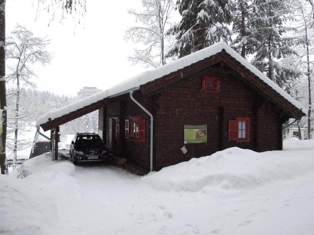Blockhaus Bodefall Braunlage Dış mekan fotoğraf